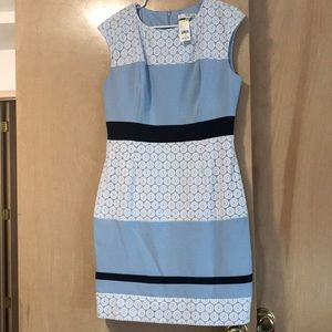 Studio one New York blue and white lace trim dress